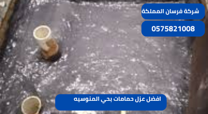 افضل عزل حمامات بحي المنوسيه