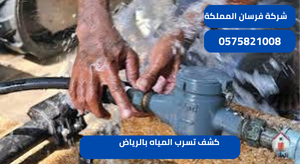 كشف تسرب المياه بالرياض