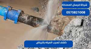 كشف تسرب المياه بالرياض