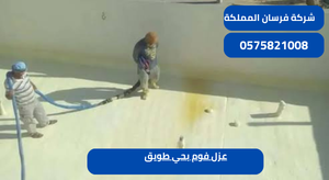 عزل فوم بحي طويق