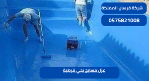 عزل مسابح بحي قرطبة