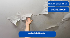 حل مشاكل الرطوبه