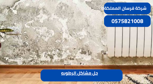 حل مشاكل الرطوبه