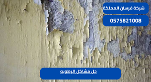 حل مشاكل الرطوبه