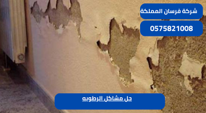 حل مشاكل الرطوبه