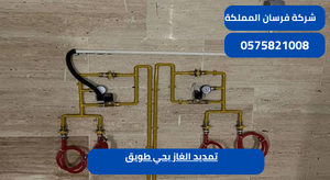 تمديد الغاز بحي طويق