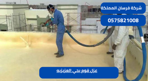 عزل فوم بحي العزيزيه