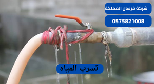تسرب المياه