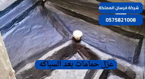 عزل حمامات بعد السباكه