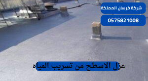 عزل الاسطح من تسريب المياه