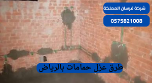 طرق عزل حمامات بالرياض
