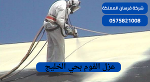شركة عزل فوم بحي الخليج