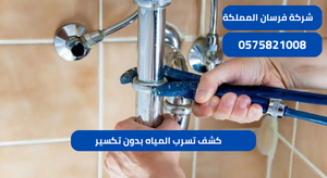كشف تسرب المياه بدون تكسير