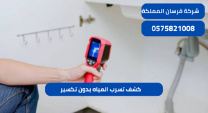 كشف تسرب المياه بدون تكسير