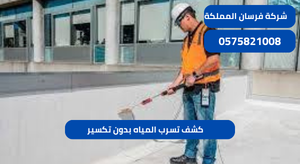 كشف تسرب المياه بدون تكسير