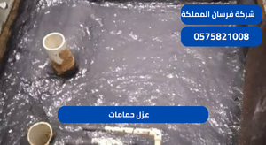 عزل حمامات