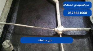 عزل حمامات