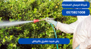 رش مبيد حشري بالرياض