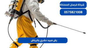 رش مبيد حشري بالرياض