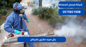 رش مبيد حشري بالرياض