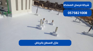 عازل الاسطح بالرياض