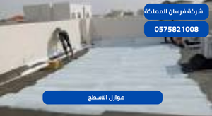 عوازل الاسطح