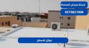 عوازل الاسطح