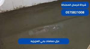 عزل حمامات بحي العزيزيه