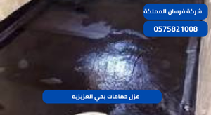 عزل حمامات بحي العزيزيه