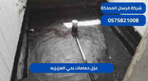 عزل حمامات بحي العزيزيه