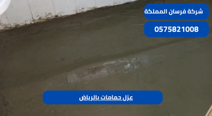 عزل حمامات بالرياض 