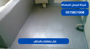 عزل حمامات بالرياض 