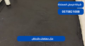 عزل حمامات بالرياض 