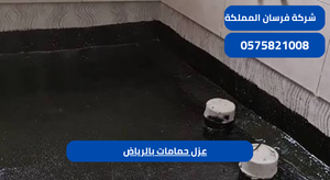 عزل حمامات بالرياض