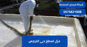 عزل اسطح حي النرجس
